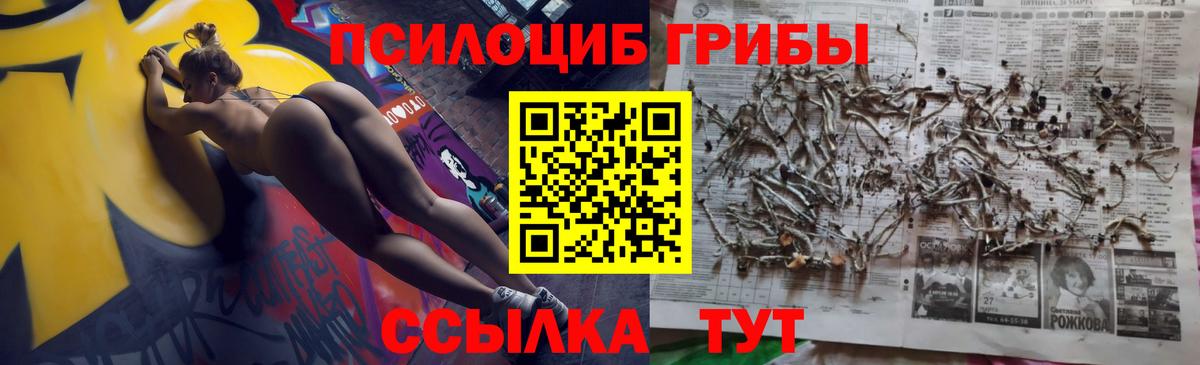 Галлюциногенные грибы прущие грибы Пушкино