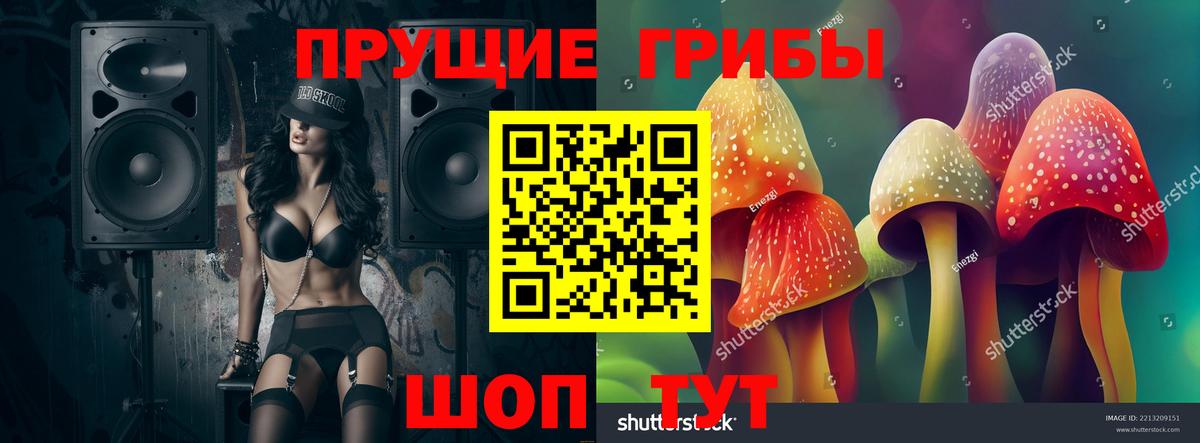 Пушкино  Псилоцибиновые грибы мухоморы  сколько стоит  Вход с VPN 